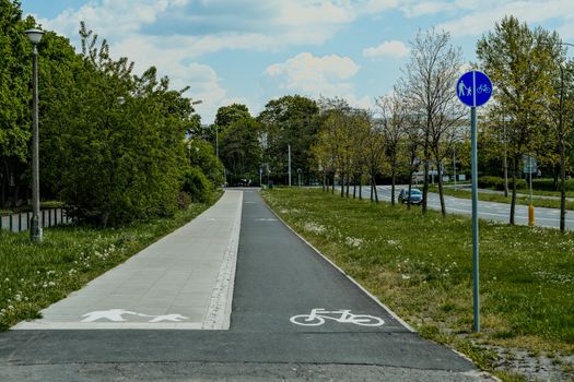 Explore a serene bicycle lane surrounded by lush greenery on a sunny day.