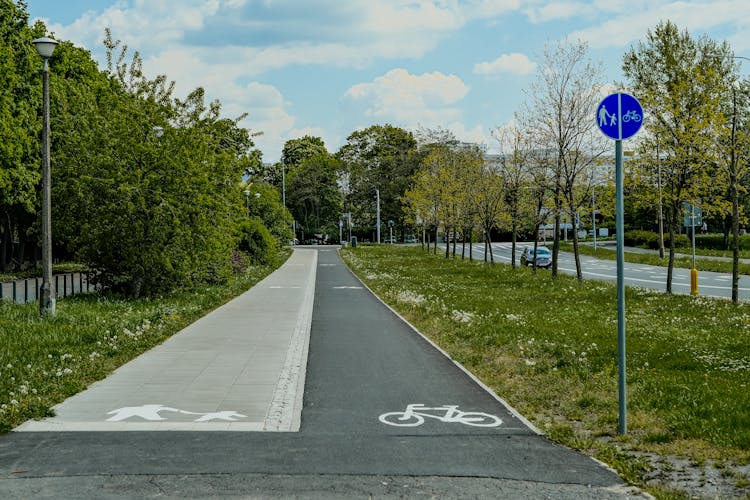 An Empty Bicycle Lane