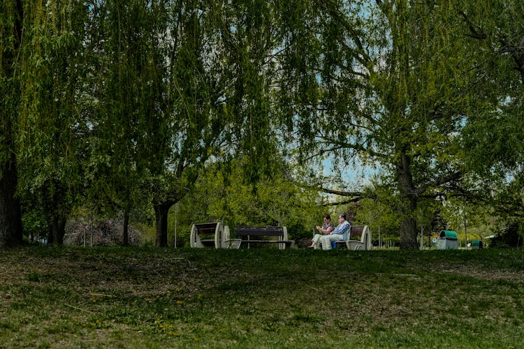 Couple Sitting On A Park Bench