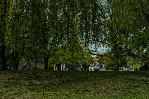 Free A couple sitting together on a park bench surrounded by lush green trees. Stock Photo