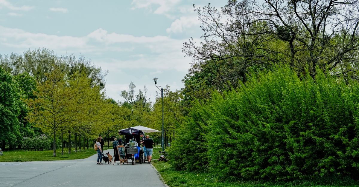 Top 10 Eco-Friendly Leisure Activities to Try