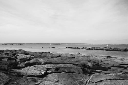 Dramatic black and white seascape featuring rocky shore and distant sailboats.