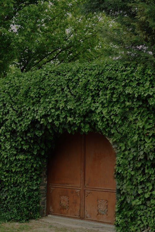 Free Brown Wooden Door Near Green Tree Stock Photo