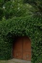 Brown Wooden Door Near Green Tree