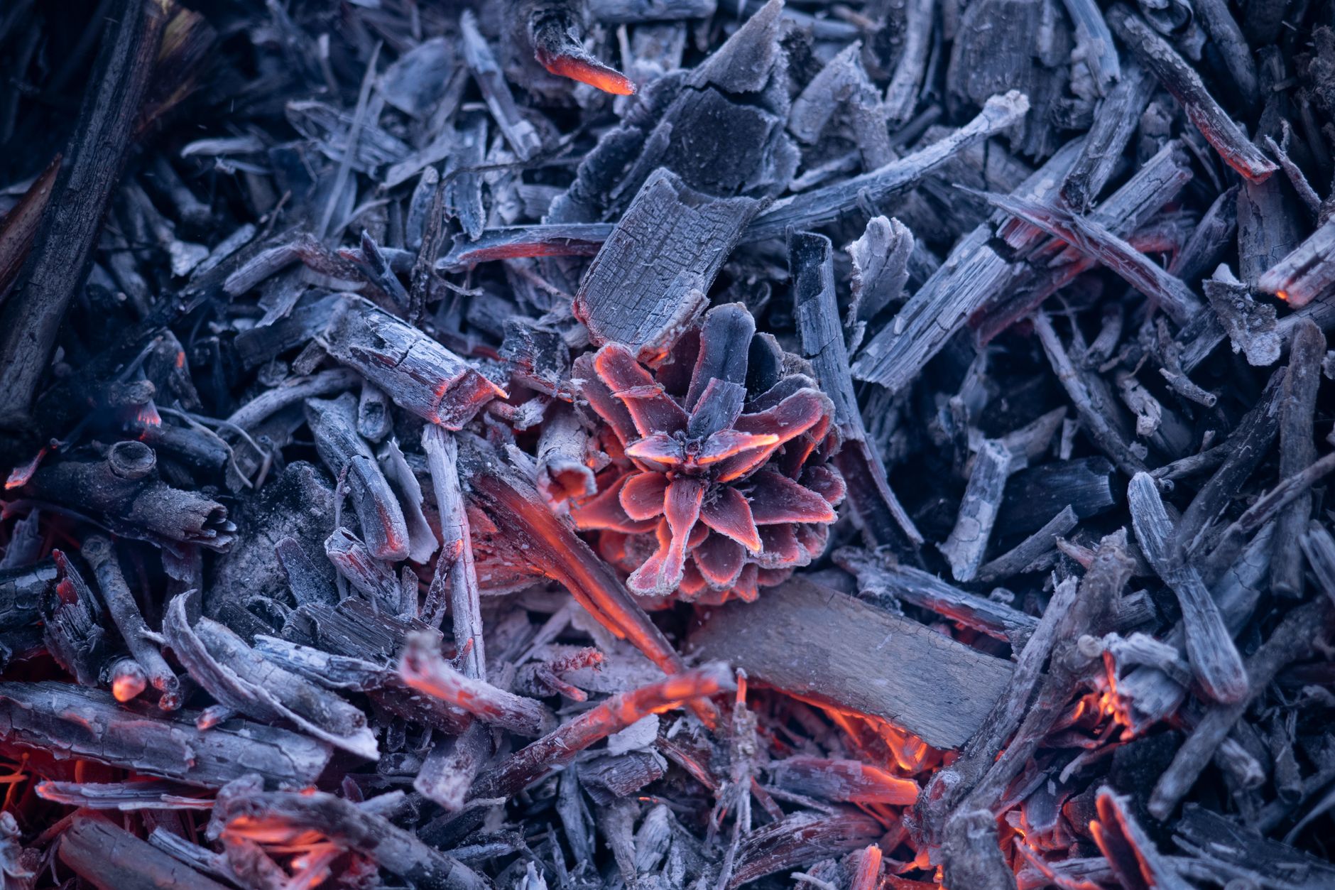 Detailed close-up of glowing embers and charcoal with a pine cone highlighting the burning textures.