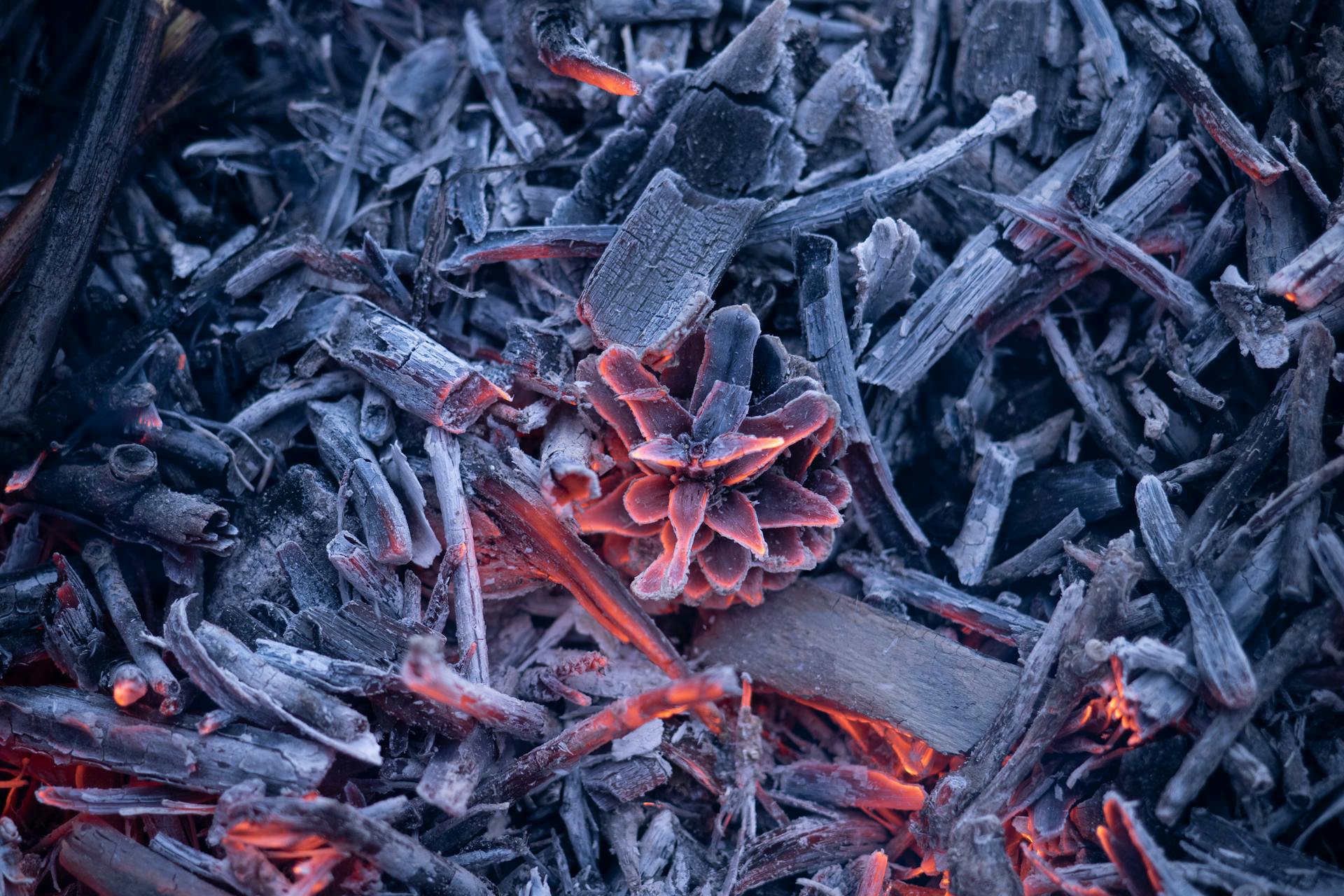 Close up of Burnt Wood and Coal