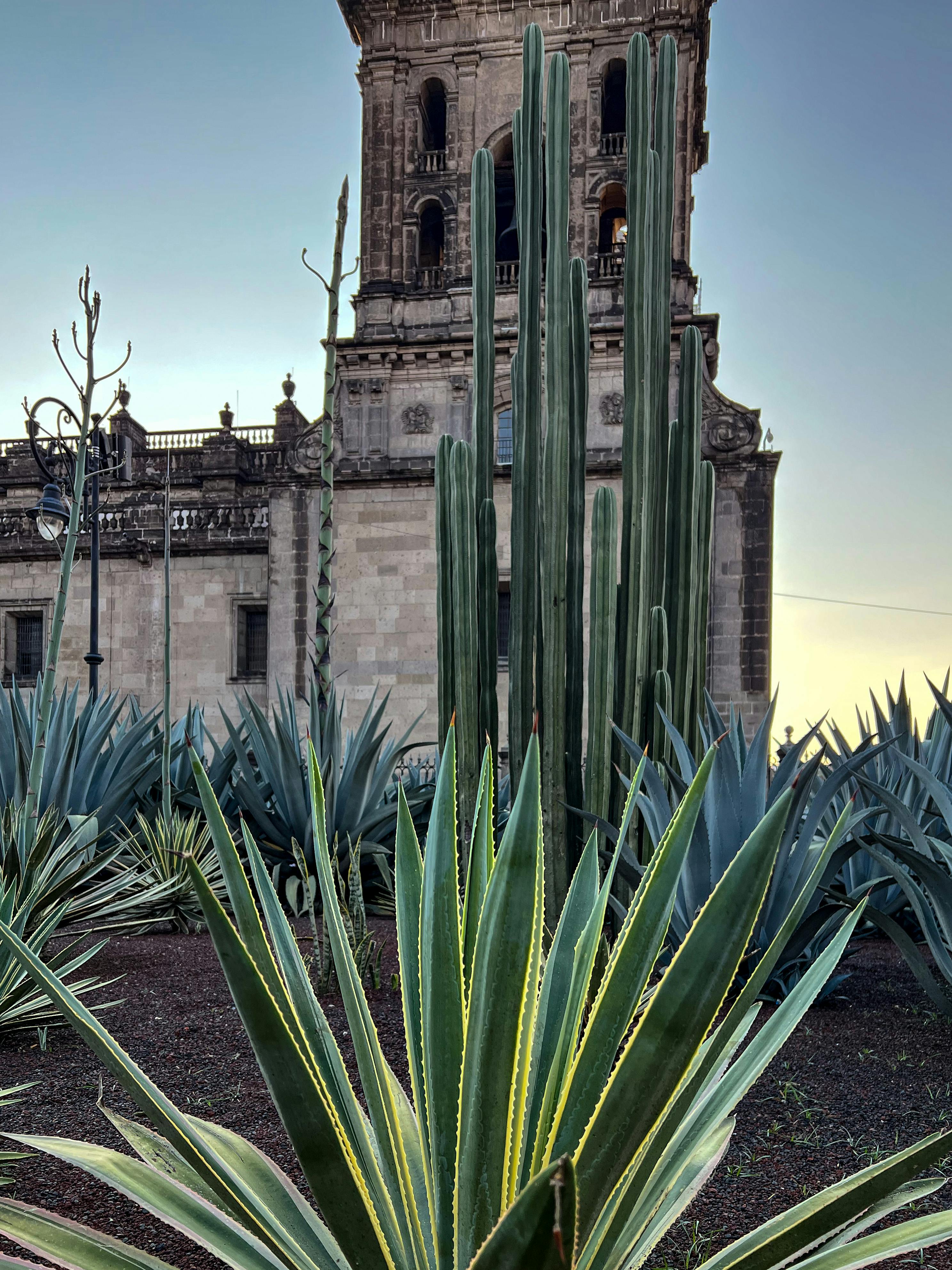 Post Conquest Photos, Download The BEST Free Post Conquest Stock Photos