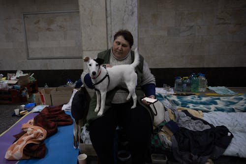 Free Woman with Dog in Shelter Stock Photo