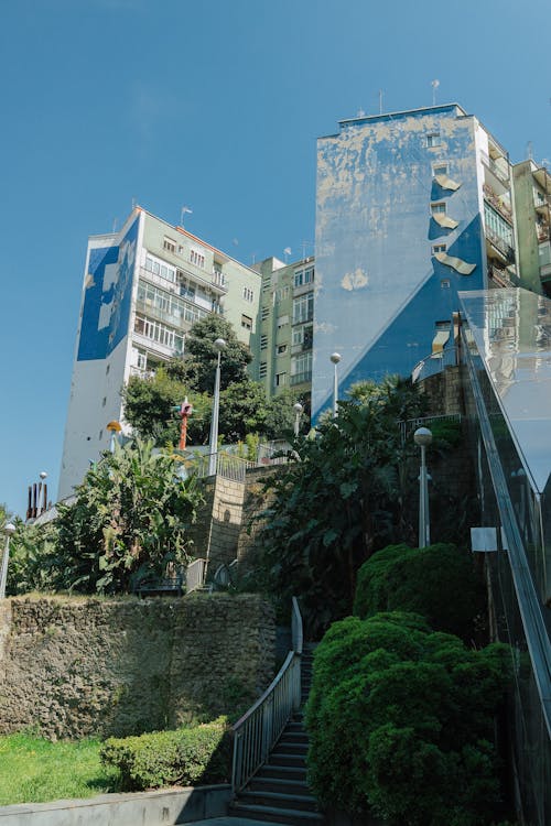 Trees Along a Staircase Leading to Residential Buildings