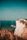 cliff edge
