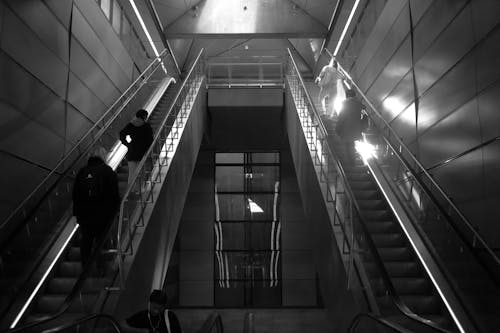 Gratis lagerfoto af bnw, København, metrostation