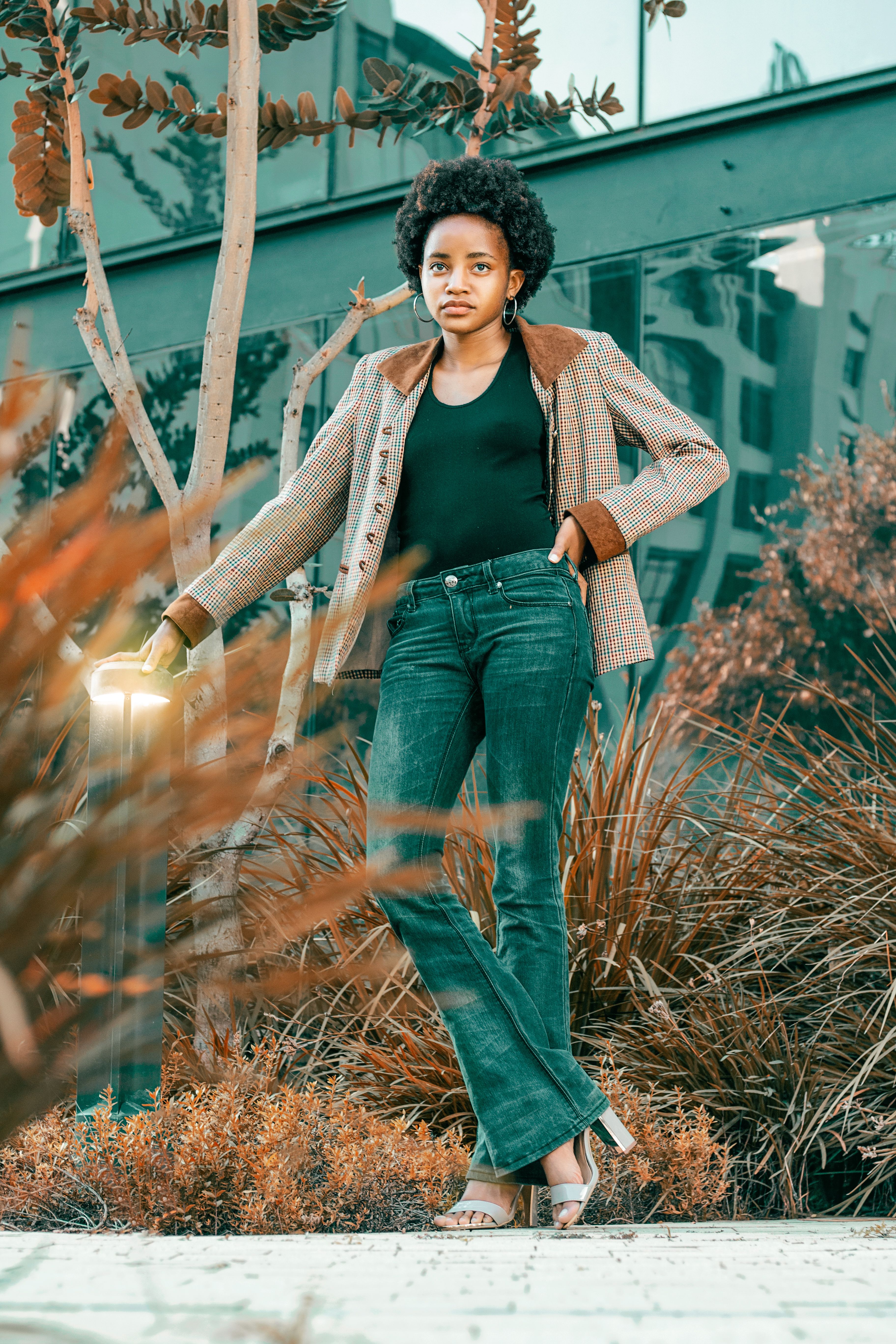 Jean bootcut