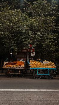 Vibrant street cart displaying a variety of fresh fruits under lush green trees.