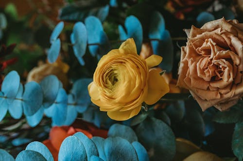 Free A Dried Yellow and Brown Rose Flowers Stock Photo