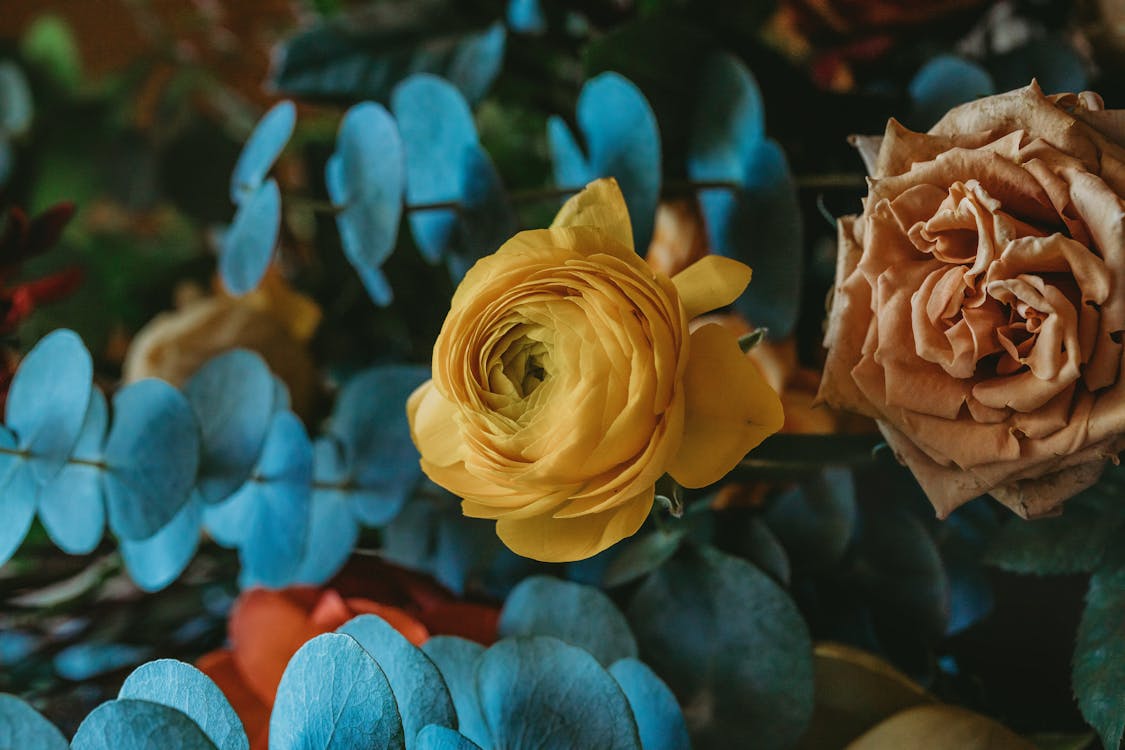 A Dried Yellow and Brown Rose Flowers