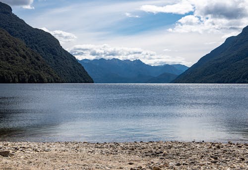 Foto stok gratis air, danau, danau manapouri