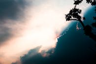 日落时分，台北一棵树的剪影映衬在戏剧性的云层下