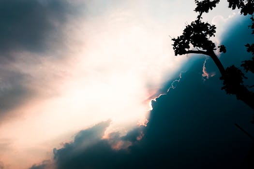 日落时分，台北一棵树的剪影映衬在戏剧性的云层下