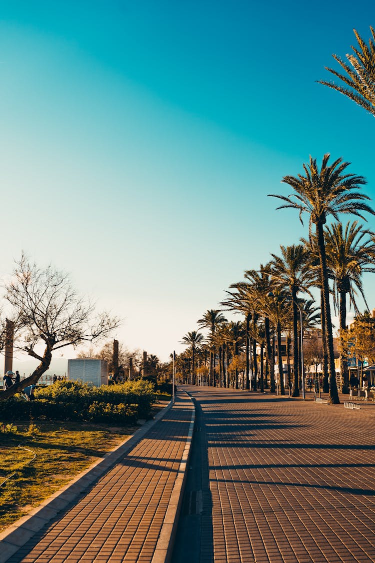 An Empty Street Under The Blue Sky