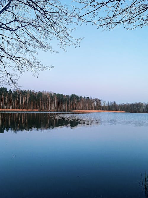 Kostenloses Stock Foto zu fluss, hübsch, jahreszeit