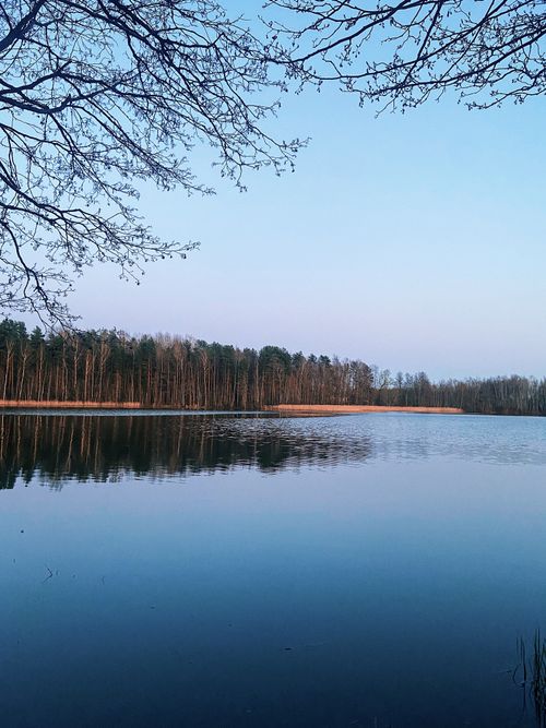 Free Calm lake reflecting a forest at dawn in Turovo, Leningrad Oblast, Russia. Perfect for serene nature backgrounds. Stock Photo
