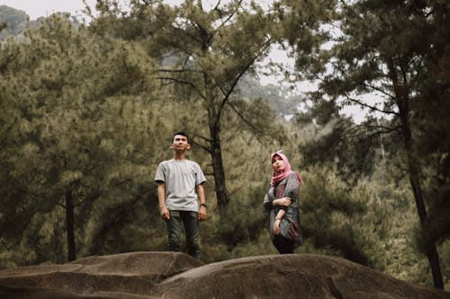 Man And Woman Standing Near Pine Trees