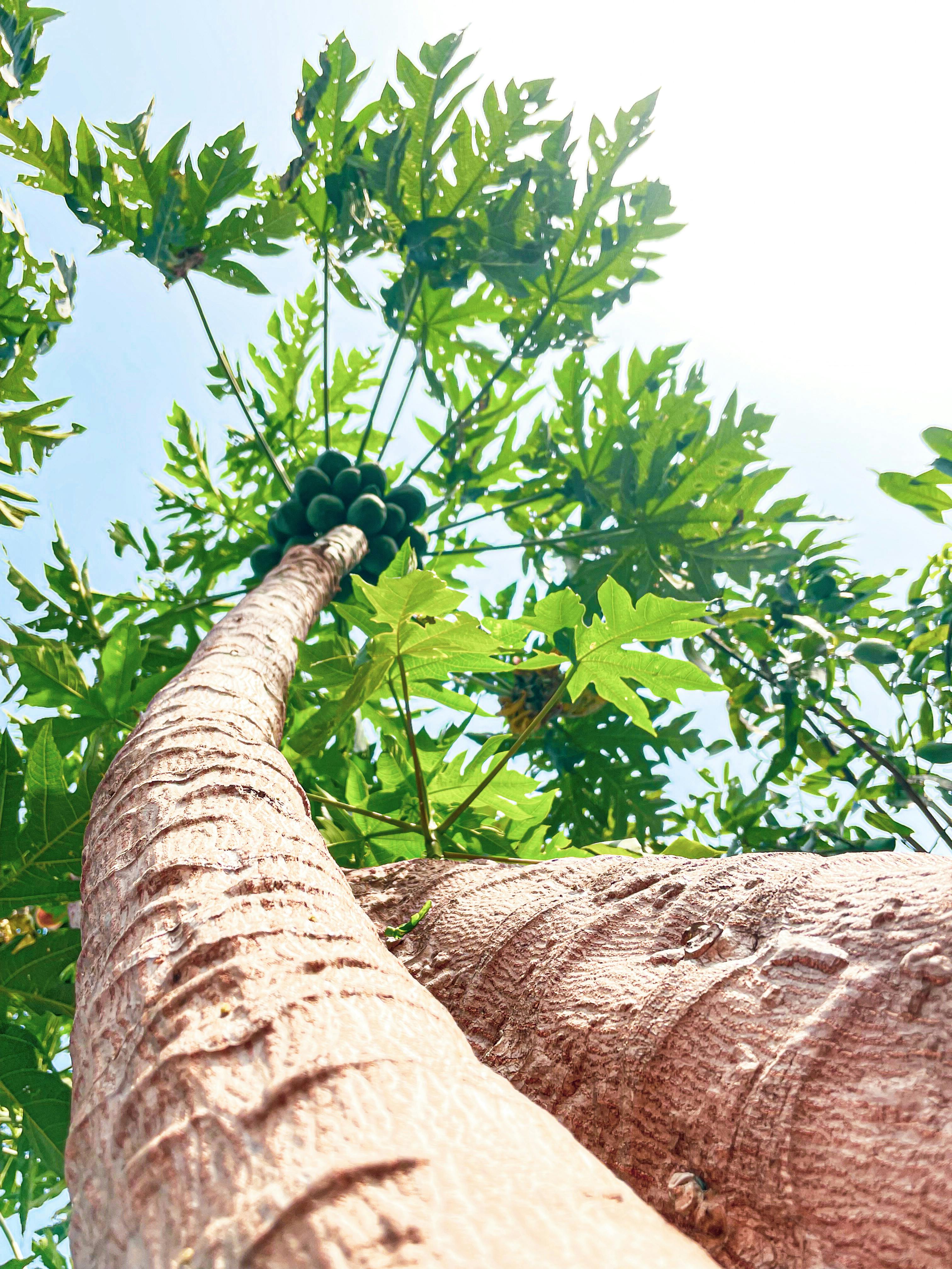 Prajyot Pradnyasagar 写真