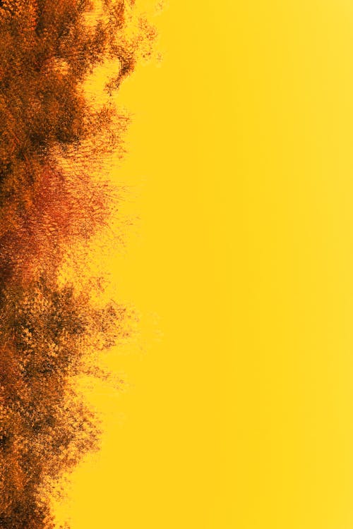 Free stock photo of abstract, double exposure, orange background Stock Photo