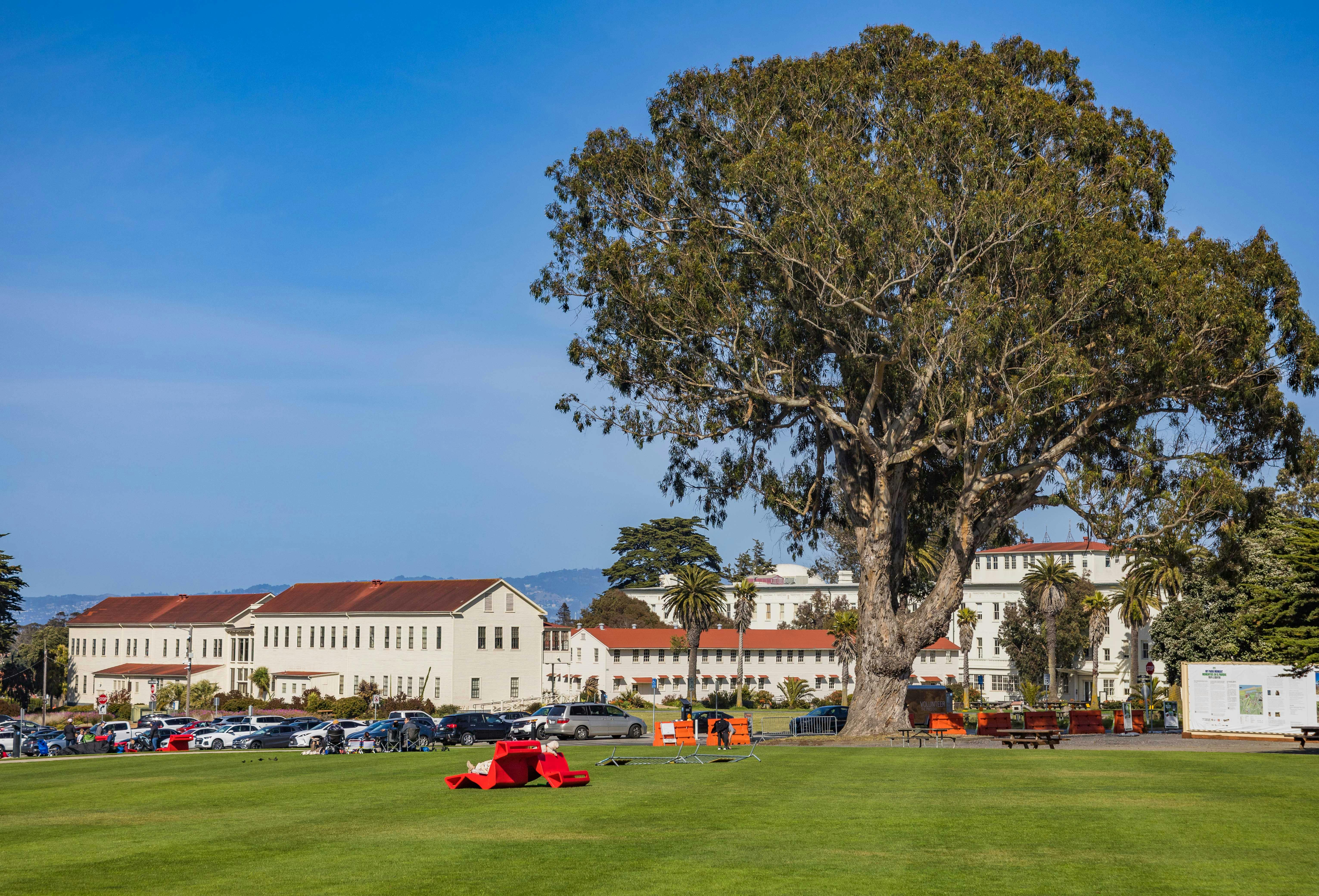 Exploring the Connection Between Green Spaces and Community Engagement