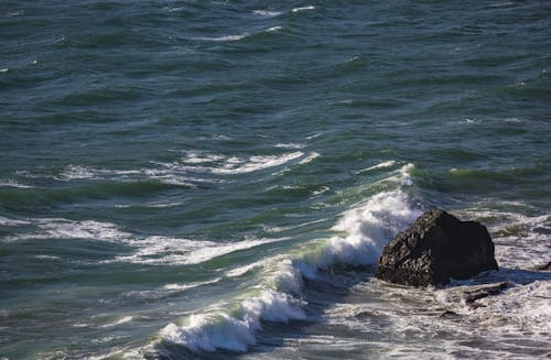 Ilmainen kuvapankkikuva tunnisteilla aalto, meri, valtameri