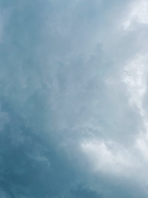 Základová fotografie zdarma na téma bílé mraky, obloha, skyscape