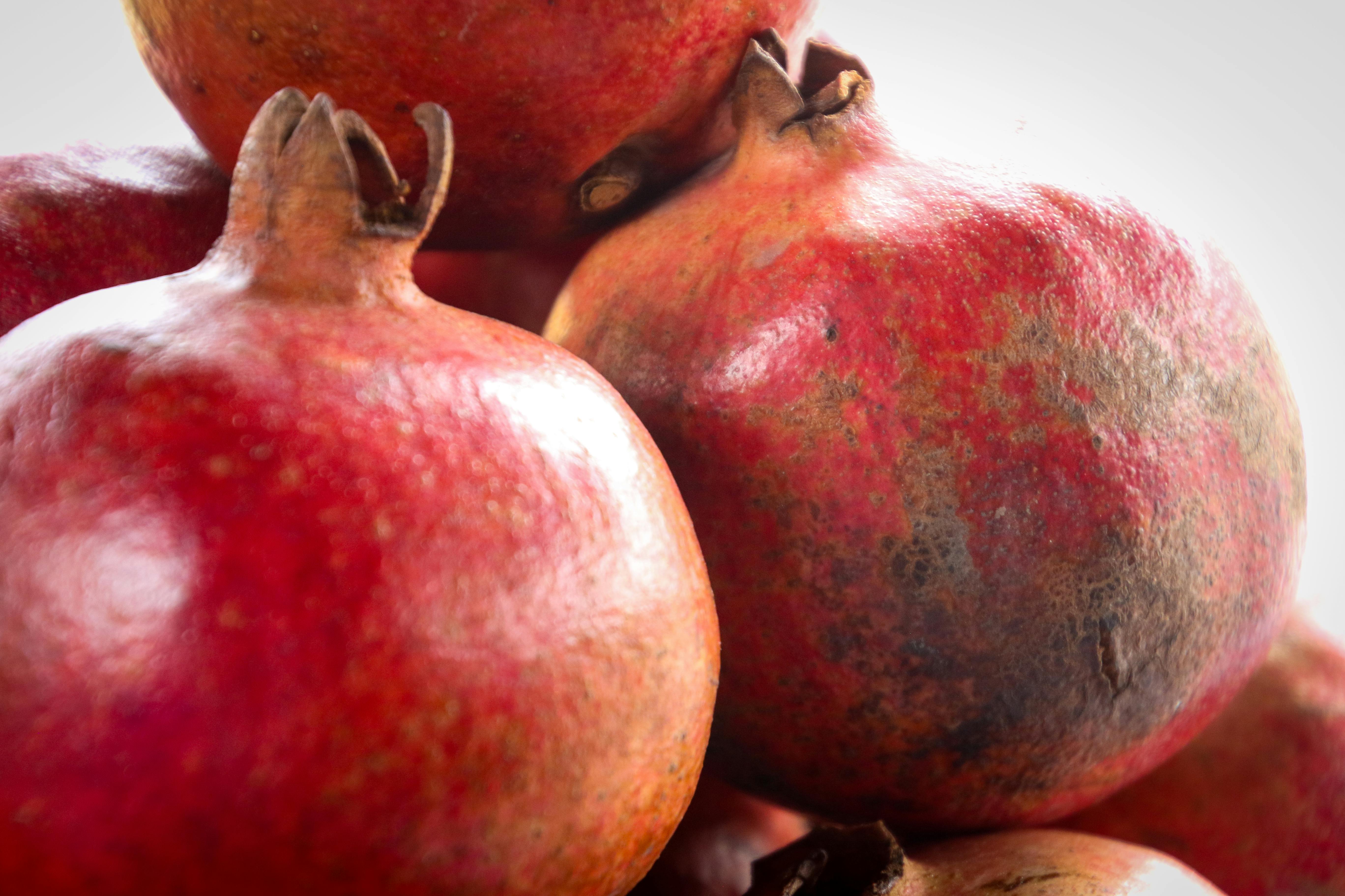 Barque sur un canal du Marais Poitevin