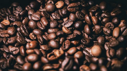 Free Coffee Beans Stock Photo