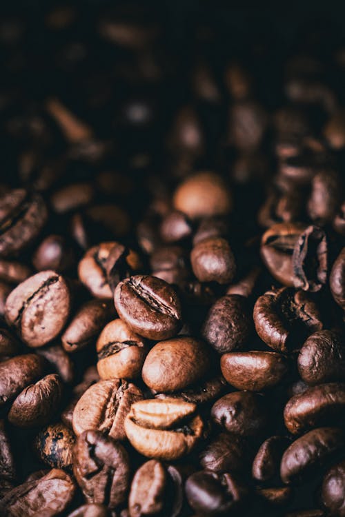 Free Roasted Coffee Beans in Close-up Shot Stock Photo