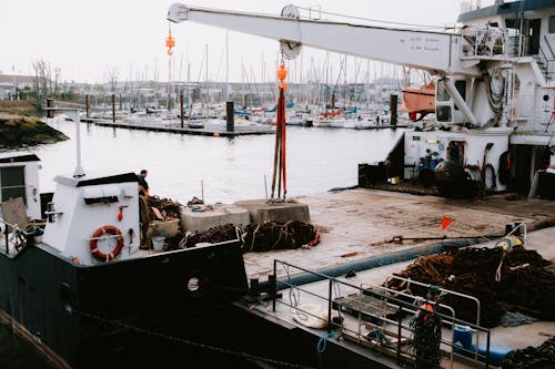 Бесплатное стоковое фото с гавань, груз, журавль