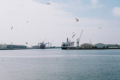 Безкоштовне стокове фото на тему «вантажних суден, вода, гавань» стокове фото
