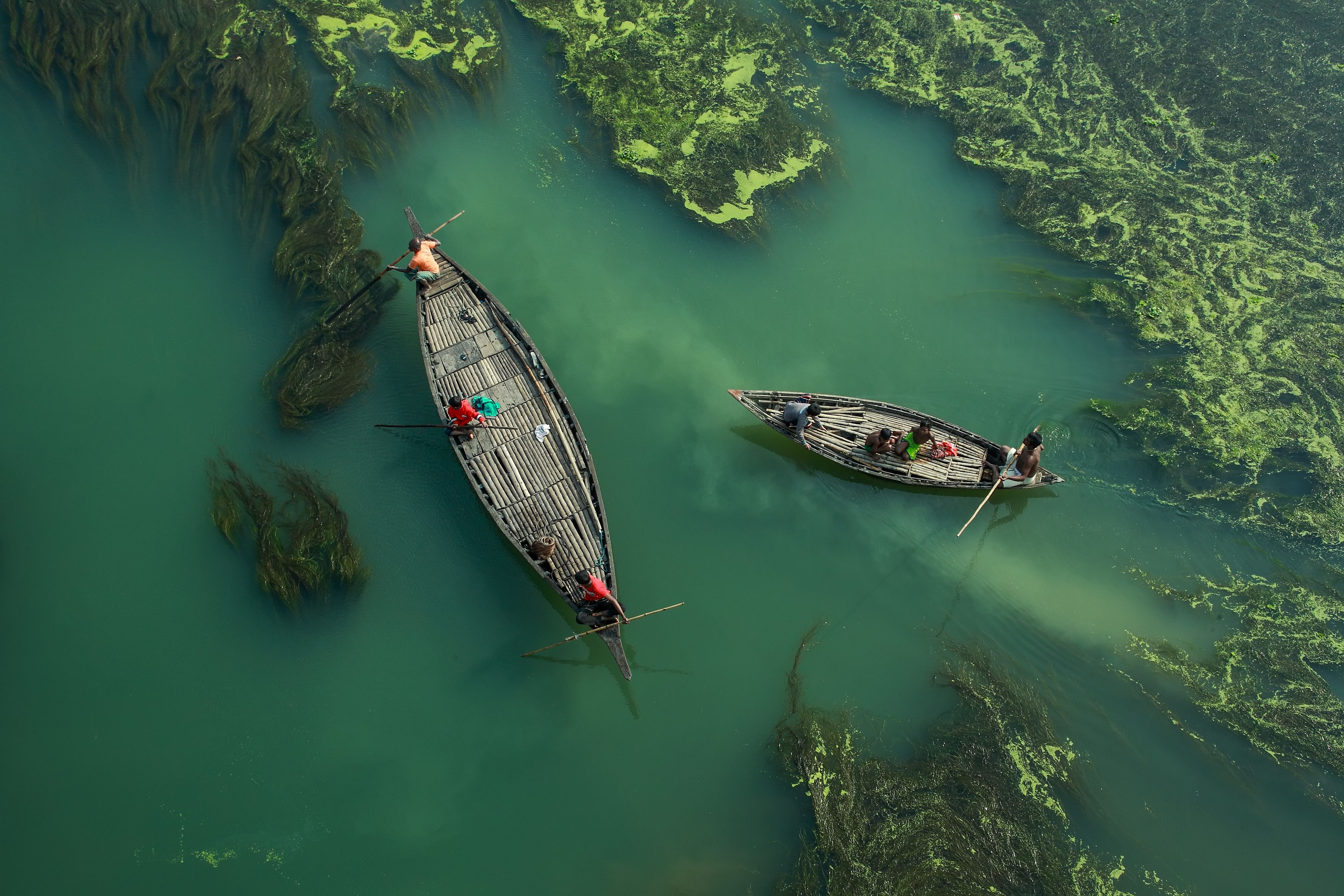 73+ Best Free Algae Stock Photos &amp; Images · 100% Royalty-Free HD Downloads