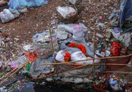 Pollution and waste