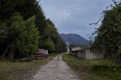 Fotobanka s bezplatnými fotkami na tému cestička, kamión, stromy