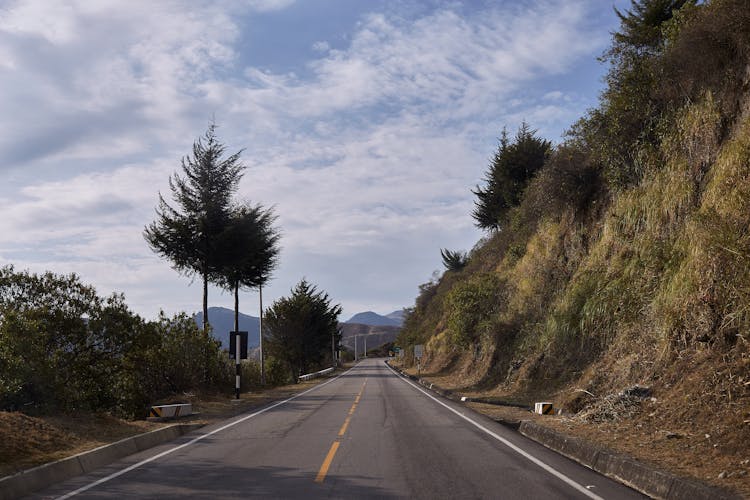 A Concrete Road Between Trees