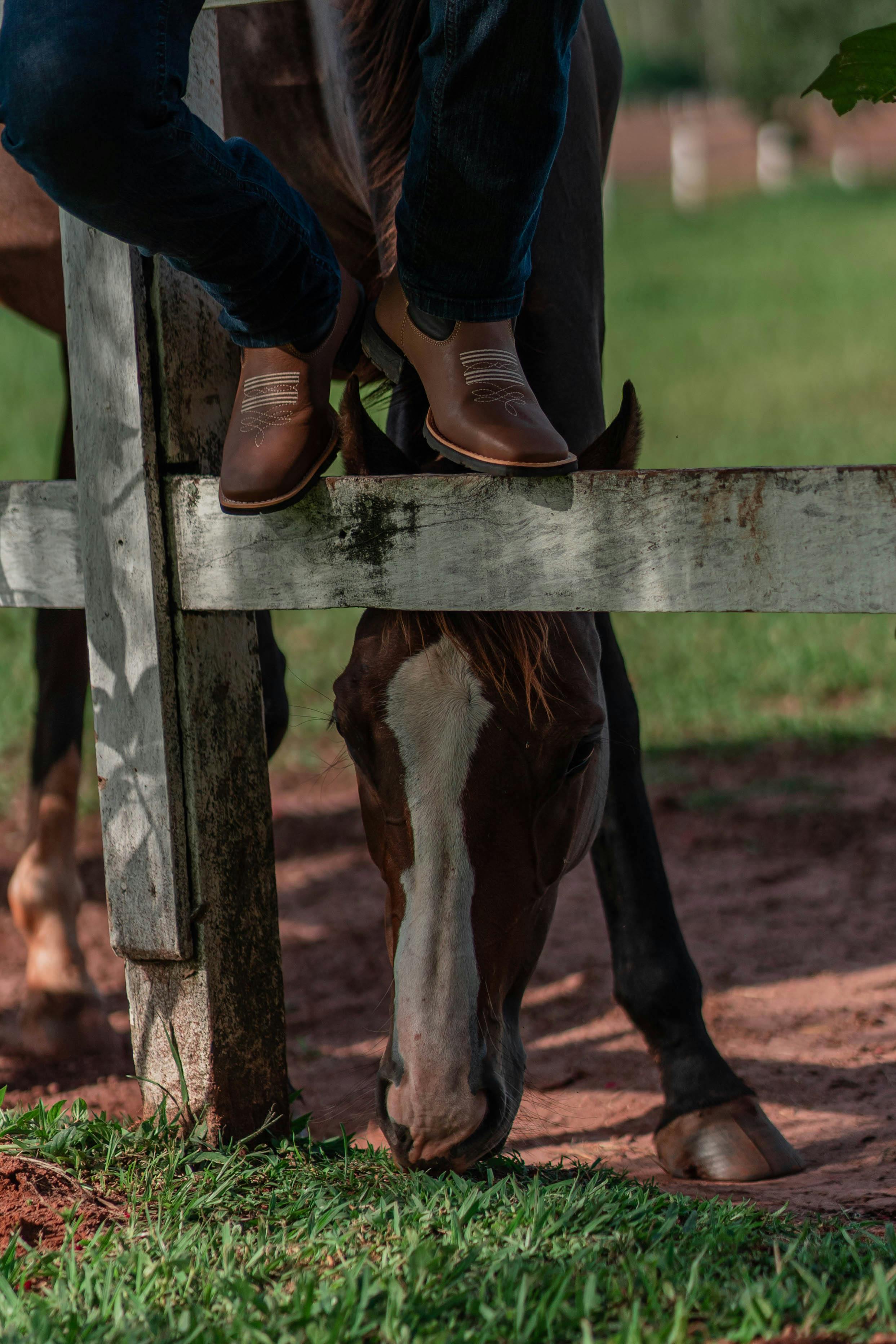 A person wearing cowboy boots sits atop a wooden fence, while a horse grazes on grass below.