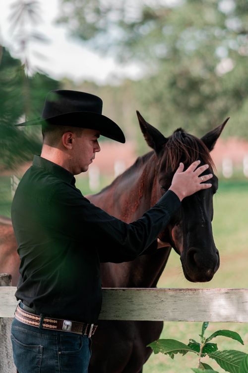 Free Man in cowboy hat gently pats horse over wooden fence in a serene outdoor farm setting. Stock Photo