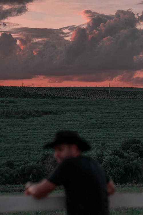 Ilmainen kuvapankkikuva tunnisteilla aita, auringonlasku, cowboy