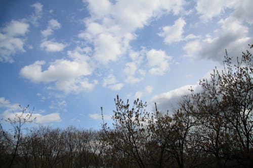 Free stock photo of blue sky, cloud, clouds