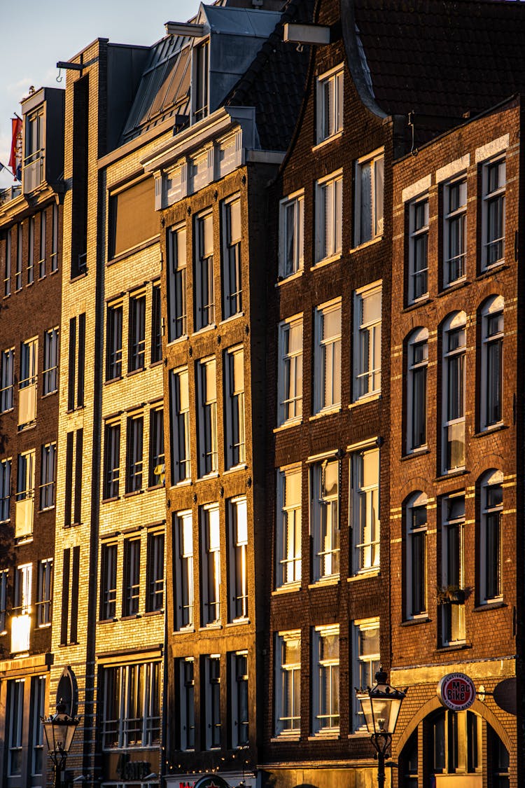 Brown Concrete Buildings