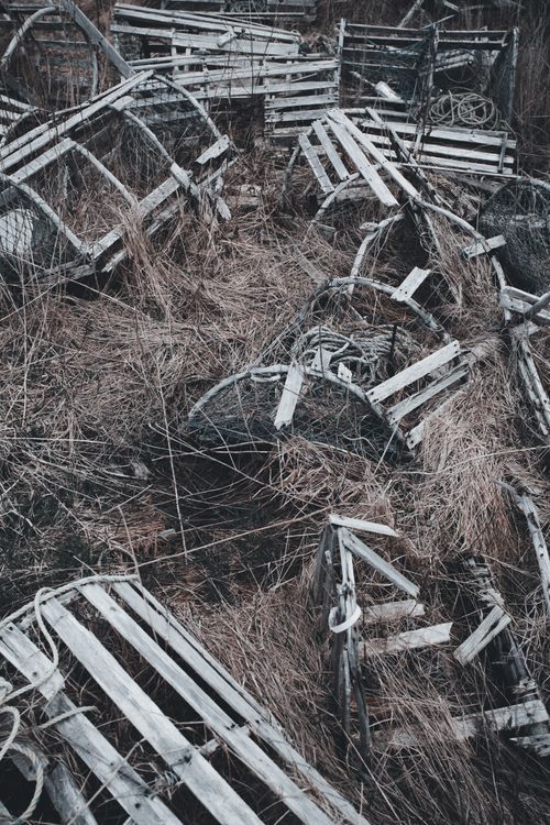 Free Stockpile of weathered wooden lobster cages amidst dry, overgrown grass outdoors. Stock Photo
