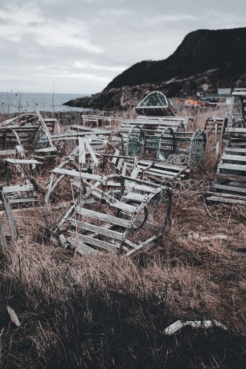 Free Abandoned wooden lobster traps scattered on a coastal field, exuding rustic charm against a cloudy seaside backdrop. Stock Photo