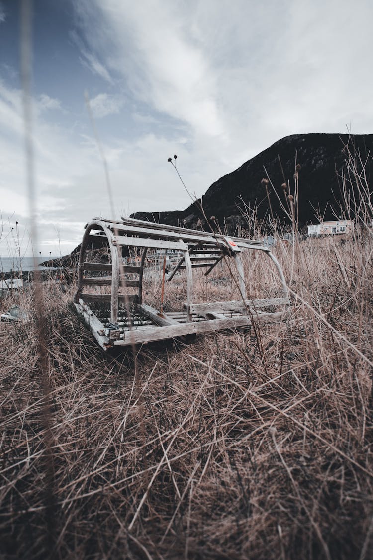 Wooden Cages On The Grass