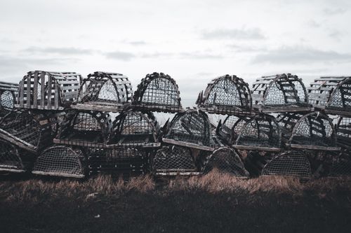 Free A collection of rustic wooden lobster traps stacked in a coastal field with a cloudy sky. Stock Photo