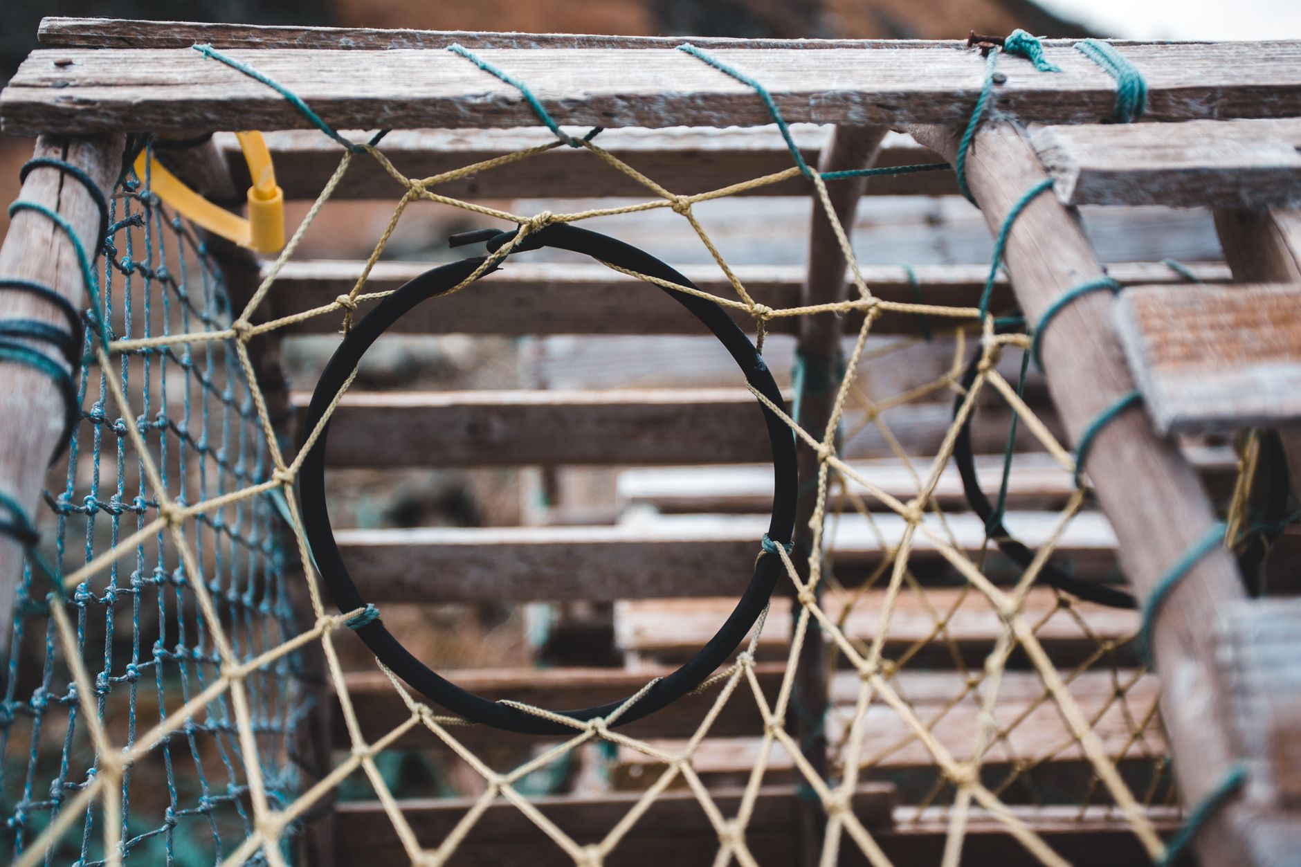 Close-up of a traditional wooden lobster trap with intricate mesh and rope patterns, ideal for fishing industry visuals.